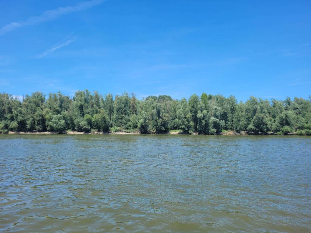 Day 10, Fajsz, HU – Apatin,&nbsp;SRB