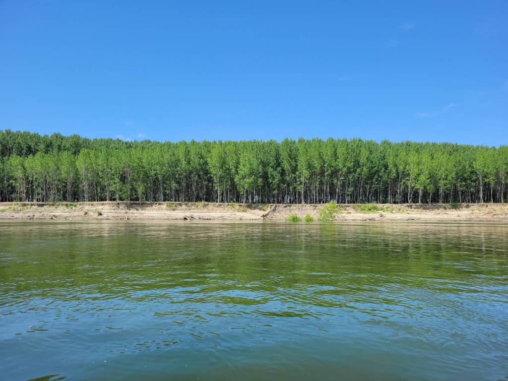 Day 40, Rasova, RU – Calarasi,&nbsp;RU